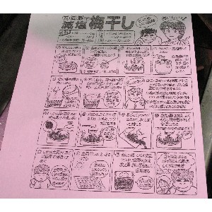  20110717 -�~�Ђ��̎�����-_6
