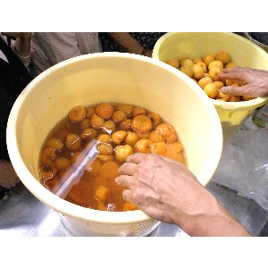  20110717 -�~�Ђ��̎�����-_10