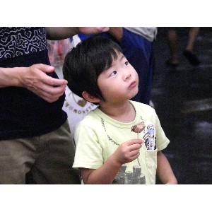  20110724 -�؂ƃ����̃X�y�A���u�̐H�ה�׎�����-_7