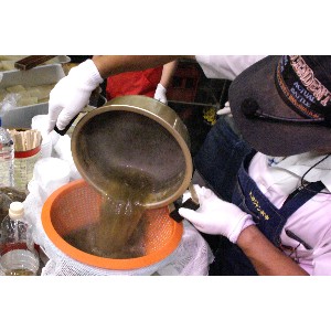 20110730-�Ƃ���Ă���������H������-_11