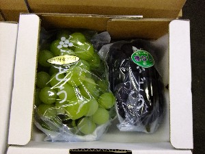 20110730-���T�̔����ł�-_32
