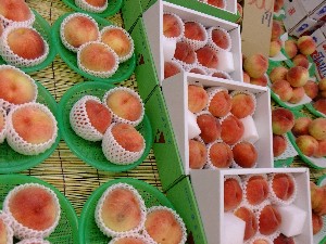 20110806  - ���T�̔����ł� -_26