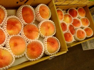 20110806  - ���T�̔����ł� -_27