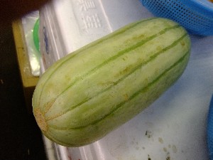 20110806  - ���T�̔����ł� -_33