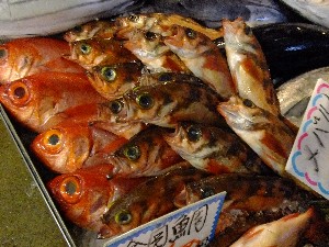 20110806  - ���T�̔����ł� -_58