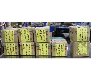 20110812  - ���薡�X�̓V�n�Ԃ� -_2