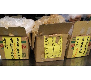 20110812  - ���薡�X�̓V�n�Ԃ� -_12