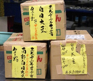 20110812  - ���薡�X�̓V�n�Ԃ� -_14