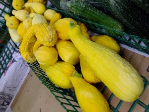 20110812  - ���T�̂��~�s�̔����ł� -_24
