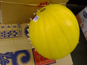 20110812  - ���T�̂��~�s�̔����ł� -_41