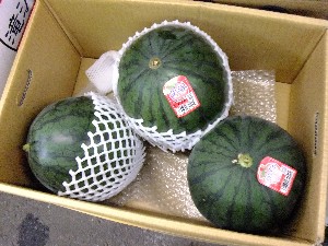 20110812  - ���T�̂��~�s�̔����ł� -_42