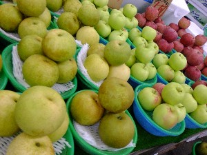 20110812  - ���T�̂��~�s�̔����ł� -_44