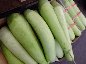20110812  - ���T�̂��~�s�̔����ł� -_50