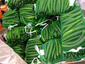 20110812  - ���T�̂��~�s�̔����ł� -_52