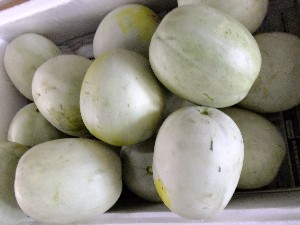 20110812  - ���T�̂��~�s�̔����ł� -_55
