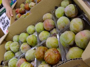20110812  - ���T�̂��~�s�̔����ł� -_57