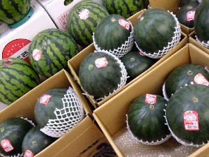 20110812  - ���T�̂��~�s�̔����ł� -_60