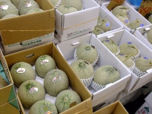 20110812  - ���T�̂��~�s�̔����ł� -_64