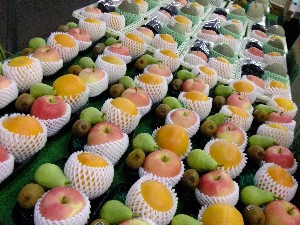 20110812  - ���T�̂��~�s�̔����ł� -_74