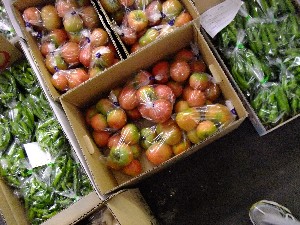 20110812  - ���T�̂��~�s�̔����ł� -_75