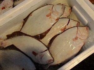 20110812  - ���T�̂��~�s�̔����ł� -_82