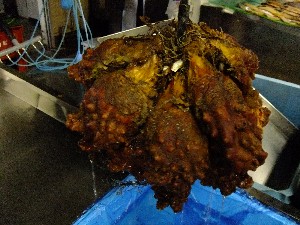 20110812  - ���T�̂��~�s�̔����ł� -_89