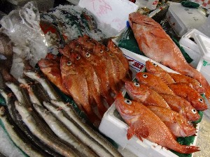 20110812  - ���T�̂��~�s�̔����ł� -_99