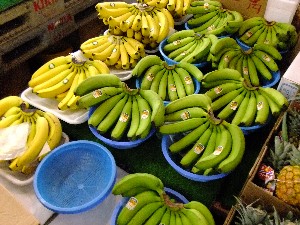 20110812  - ���T�̂��~�s�̔����ł� -_121