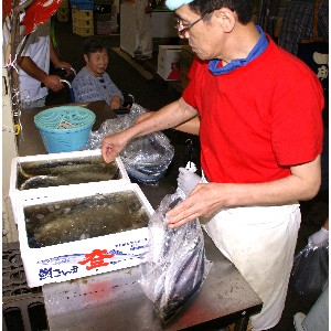 20110820  - ����܂̎h�g����������� -_16