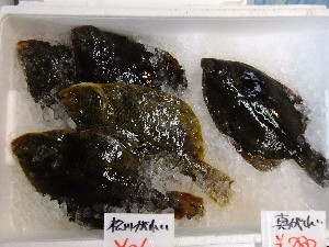 20110820  - ���T�̔����ł� -_41