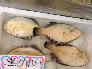 20110820  - ���T�̔����ł� -_61