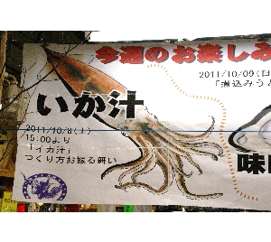 20111008 -�����`�̎������U�镑��-_1