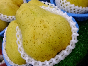 2011/10/15 ���T�̔����ł�_16