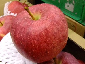 2011/10/15 ���T�̔����ł�_1