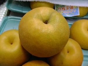 2011/10/15 ���T�̔����ł�_19