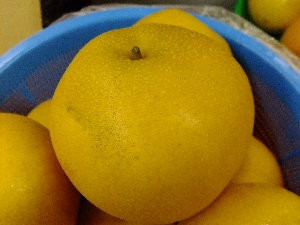 2011/10/15 ���T�̔����ł�_20