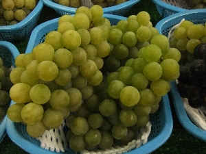 2011/10/15 ���T�̔����ł�_44