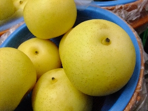 2011/10/15 ���T�̔����ł�_22