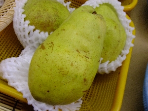 2011/10/15 ���T�̔����ł�_23
