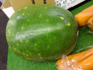 2011/10/15 ���T�̔����ł�_53