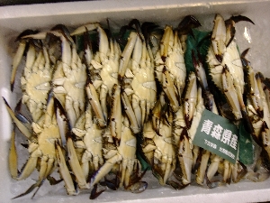 2011/10/15 ���T�̔����ł�_78