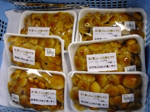 2011/10/15 ���T�̔����ł�_81