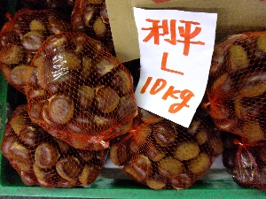 2011/10/15 ���T�̔����ł�_46