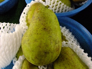 2011/10/15 ���T�̔����ł�_27