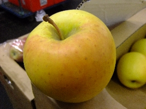 2011/10/15 ���T�̔����ł�_10
