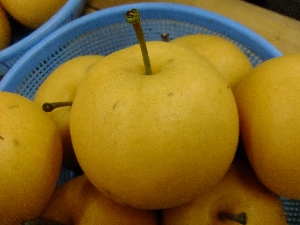 2011/10/15 ���T�̔����ł�_28