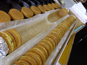2011/10/15 ���T�̔����ł�_98