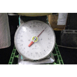 - 20111112- �Е�������_26