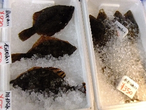 - 20111112- ���T�̔����ł�_63