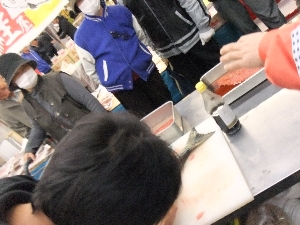 - 20111120- -�؎q�̑����������-_50